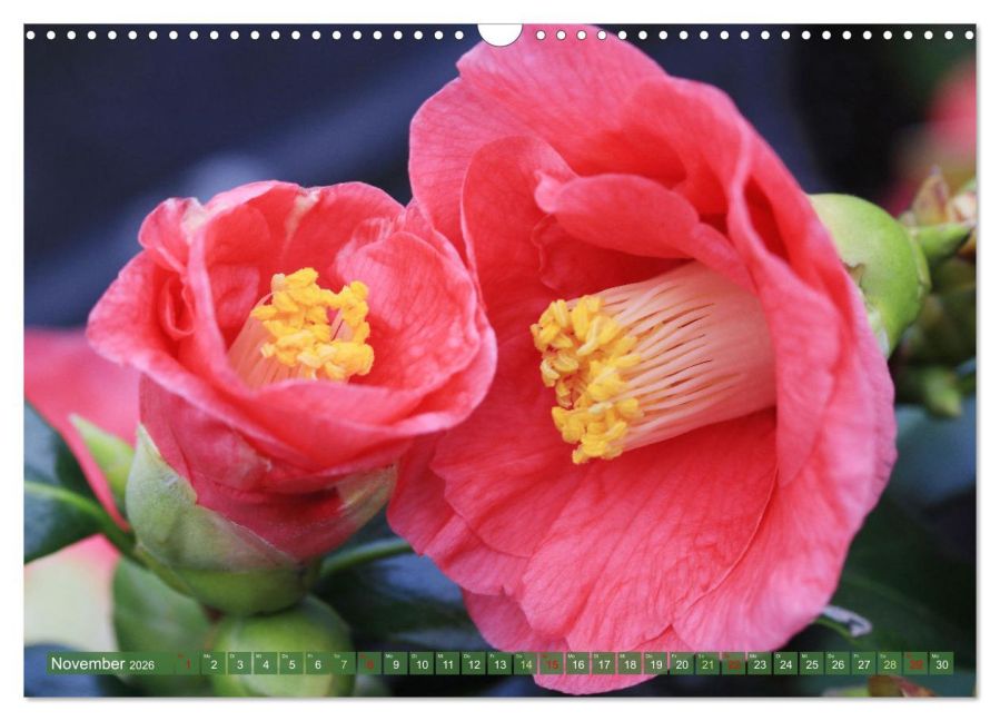 InsideView 3