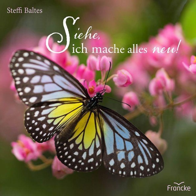 Siehe, ich mache alles neu! - Steffi Baltes