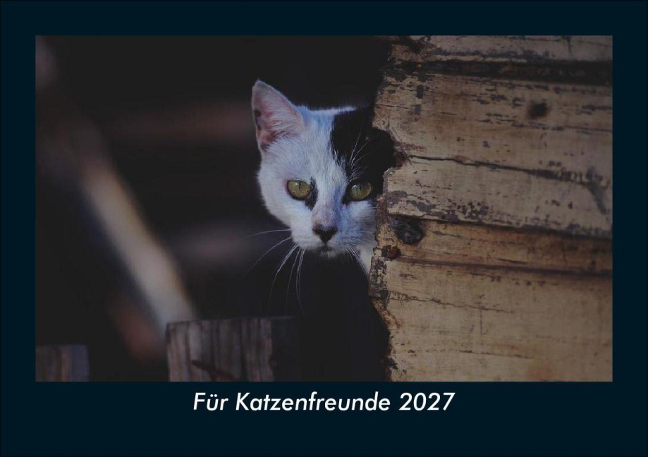 Für Katzenfreunde 2027 Fotokalender DIN A5 - Tobias Schmitt, Kevin Heber