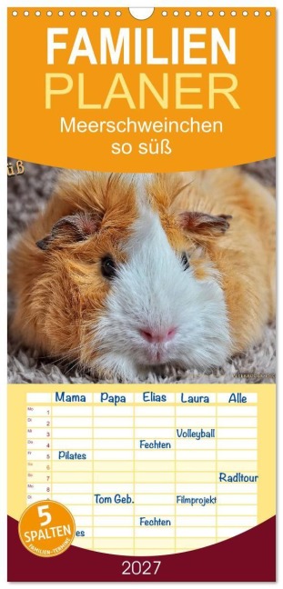 Familienplaner 2027 - Meerschweinchen - so süß mit 5 Spalten (Wandkalender, 21 x 45 cm) CALVENDO - Peter Roder