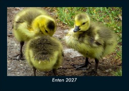 Cover-Bild zum Titel 'Enten 2027 Fotokalender DIN A5' von 'Tobias Schmitt, Kevin Heber'