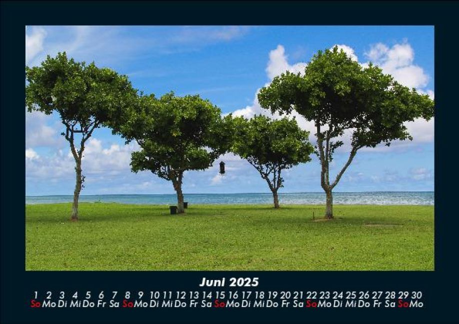 InsideView 10