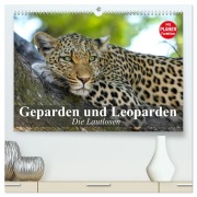 Cover-Bild zum Titel 'Die Lautlosen. Geparden und Leoparden (hochwertiger Premium Wandkalender 2026 DIN A2 quer), Kunstdruck in Hochglanz' von 'Elisabeth Stanzer'