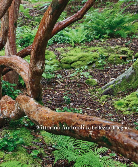 La bellezza di legno - Vittorino Andreoli