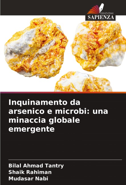 Inquinamento da arsenico e microbi: una minaccia globale emergente - Bilal Ahmad Tantry, Shaik Rahiman, Mudasar Nabi