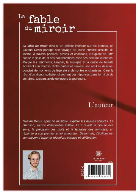 InsideView 1