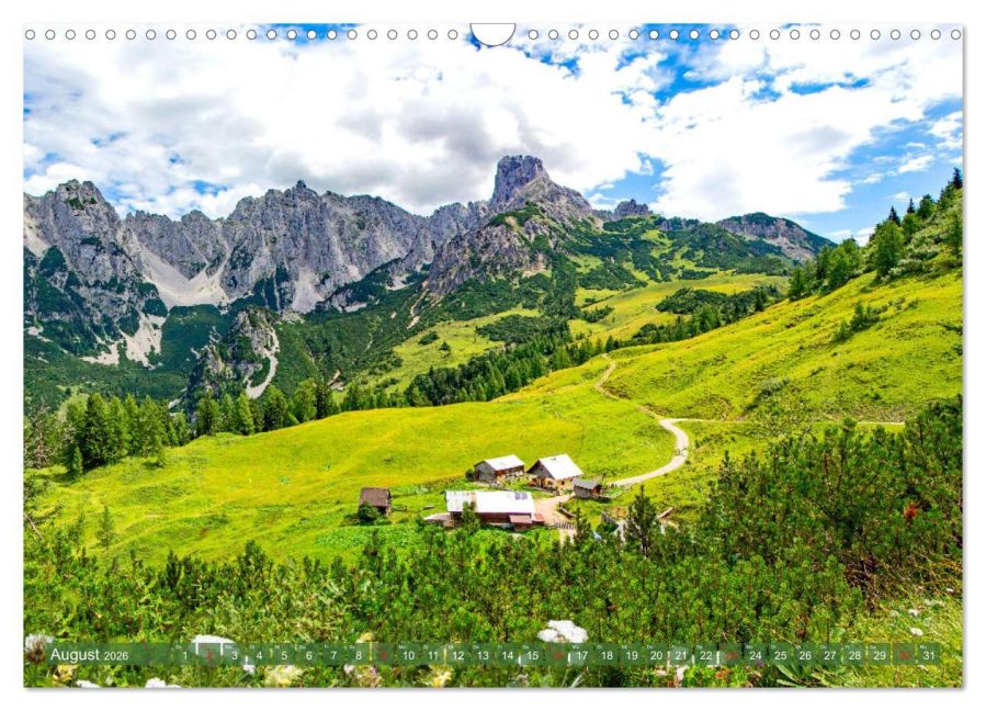 InsideView 13