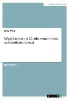 Möglichkeiten der Mitarbeitermotivation im öffentlichen Dienst - Dany Franz