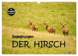 Cover-Bild zum Titel 'Begegnungen. DER HIRSCH (Wandkalender 2025 DIN A3 quer), CALVENDO Monatskalender' von 'Gugigei Gugigei'