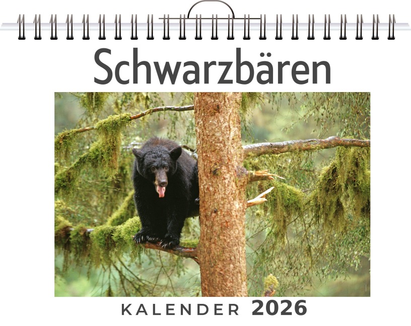 Schwarzbären - Ava Wagner