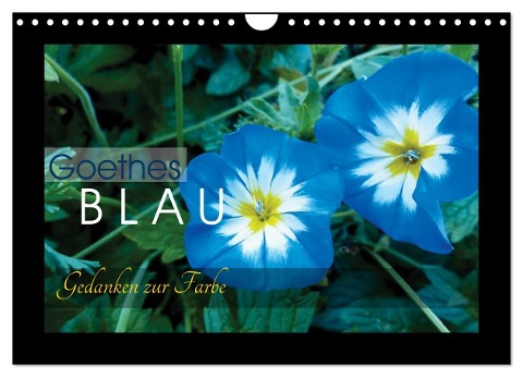 Goethes Blau. Gedanken zur Farbe (Wandkalender 2024 DIN A4 quer), CALVENDO Monatskalender - Lucy M. Laube