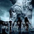 Cover-Bild zum Titel 'The Barrier Between Lib/E' von 'Stacey Marie Brown'