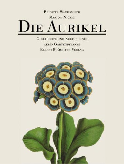 Die Aurikel - Marion Nickig, Brigitte Wachsmuth