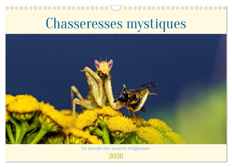 Chasseresses mystiques (Calendrier mural 2026 DIN A3 vertical), CALVENDO calendrier mensuel - Roland Brack
