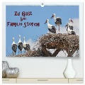 Zu Gast bei Familie Storch (hochwertiger Premium Wandkalender 2025 DIN A2 quer), Kunstdruck in Hochglanz - Gugigei Gugigei
