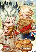 Cover-Bild zum Titel 'Dr. Stone 11' von 'Boichi, Riichiro Inagaki'