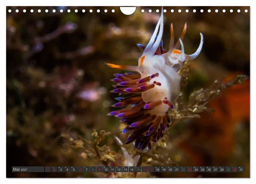 InsideView 10