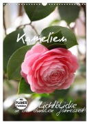 Cover-Bild zum Titel 'Kamelien Lichtblicke in der dunklen Jahreszeit (Wandkalender 2026 DIN A3 hoch), CALVENDO Monatskalender' von 'Gisela Kruse'