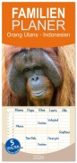 Cover-Bild zum Titel 'Familienplaner 2026 - Orang Utans - Indonesien mit 5 Spalten (Wandkalender, 21 x 45 cm) CALVENDO' von 'Heike Newinger'