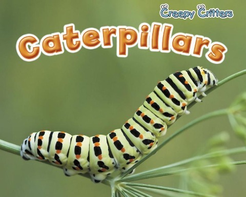 Caterpillars - Rebecca Rissman