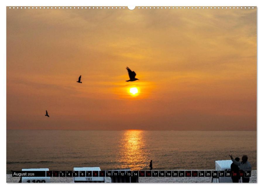 InsideView 13