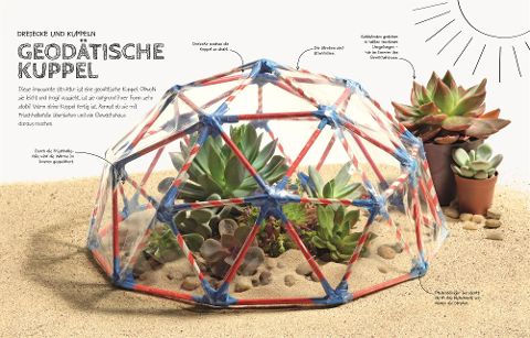 InsideView 8