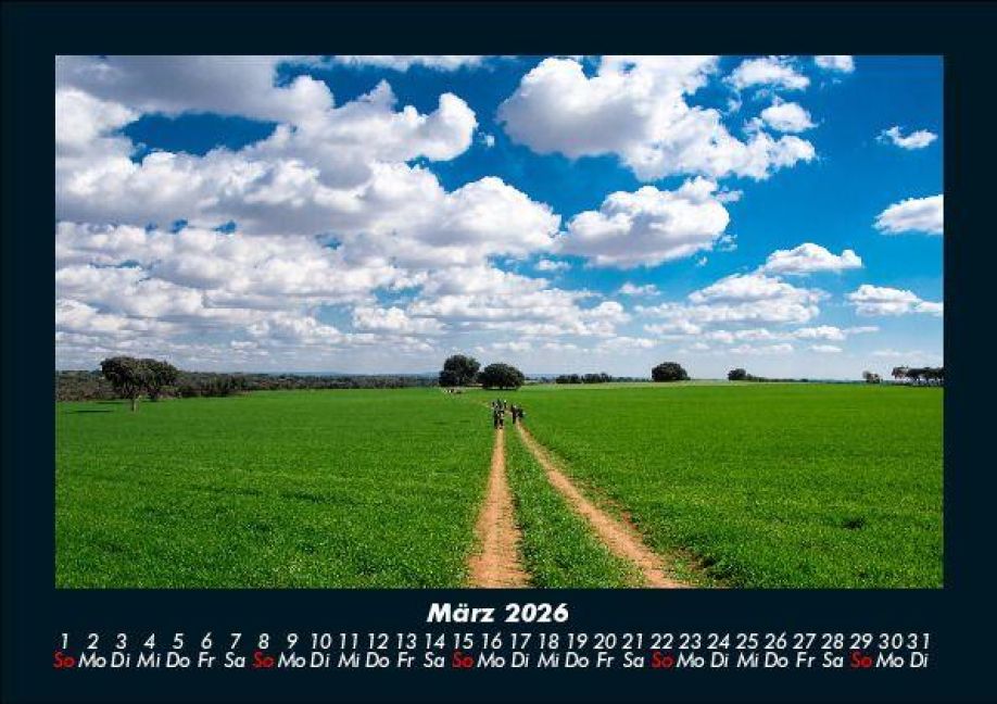 InsideView 7