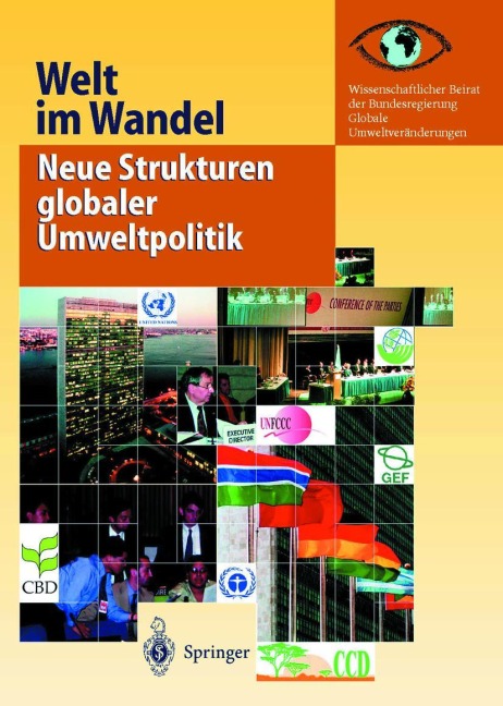 Welt im Wandel: Neue Strukturen globaler Umweltpolitik - Kenneth A. Loparo