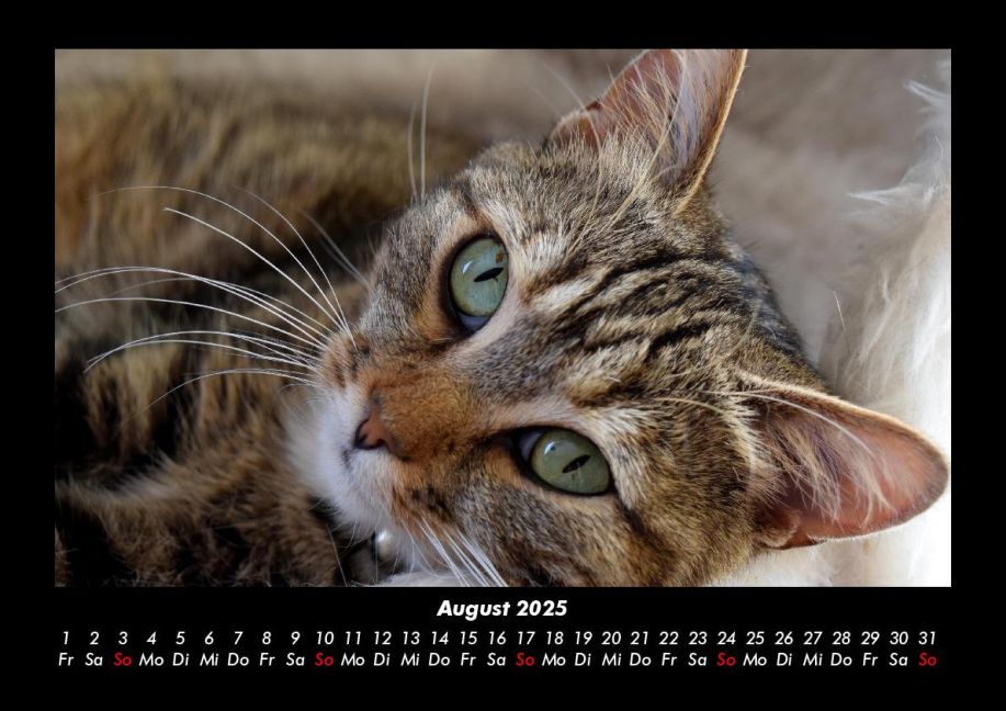 InsideView 12