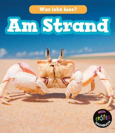 Am Strand, Was lebt hier? - John-Paul Wilkins