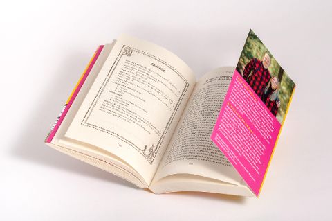 InsideView 6
