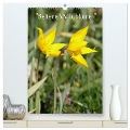 Seltene Wildblumen (hochwertiger Premium Wandkalender 2024 DIN A2 hoch), Kunstdruck in Hochglanz - Winfried Erlwein