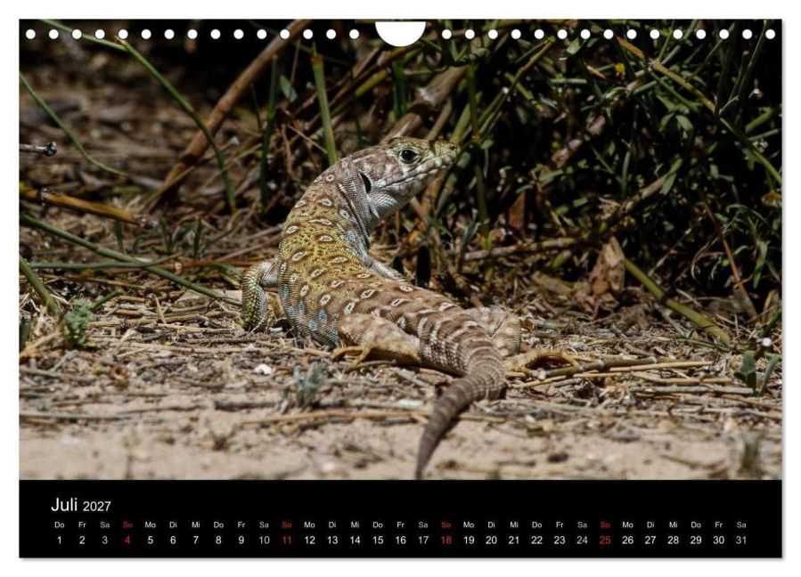 InsideView 12