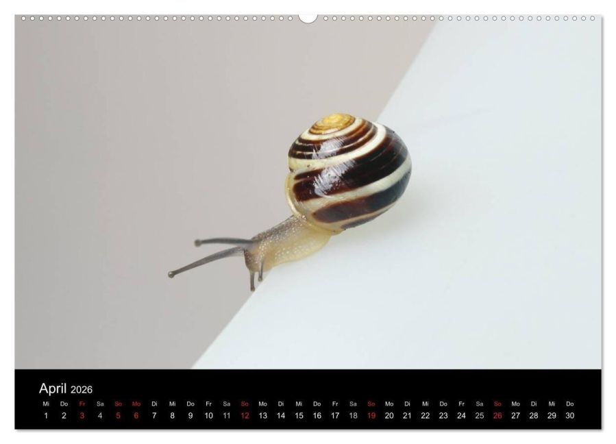 InsideView 8