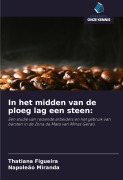 Cover-Bild zum Titel 'In het midden van de ploeg lag een steen:' von 'Thatiana Figueira, Napoleão Miranda'