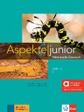 Cover-Bild zum Titel 'Aspekte junior C1 - Hybride Ausgabe allango' von ''