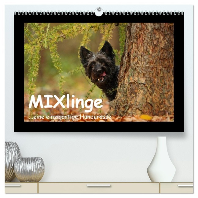 MIXlinge (hochwertiger Premium Wandkalender 2026 DIN A2 quer), Kunstdruck in Hochglanz - Kathrin Köntopp