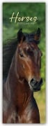 Cover-Bild zum Titel 'Horses - Pferde - Slimline-Kalender 2027' von 'Gifted Stationery Co. Ltd'