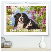 Berner Sennenhunde - Träumereien (hochwertiger Premium Wandkalender 2026 DIN A2 quer), Kunstdruck in Hochglanz - Sigrid Starick