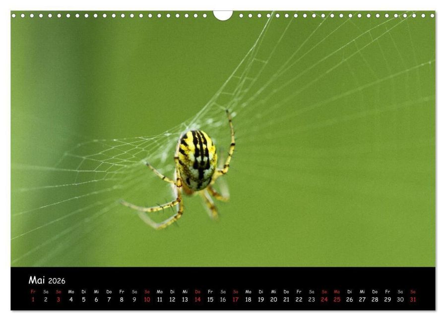 InsideView 7