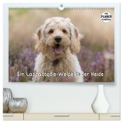 Cover-Bild zum Titel 'Ein Labradoodle-Welpe in der Heide (hochwertiger Premium Wandkalender 2026 DIN A2 quer), Kunstdruck in Hochglanz' von 'Sonja Teßen'
