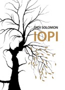 Cover-Bild zum Titel 'Iopi' von 'Solomon Didi'