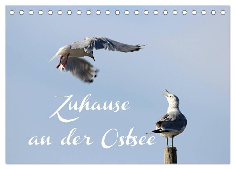 Zuhause an der Ostsee (Tischkalender 2024 DIN A5 quer), CALVENDO Monatskalender - Heike Hultsch