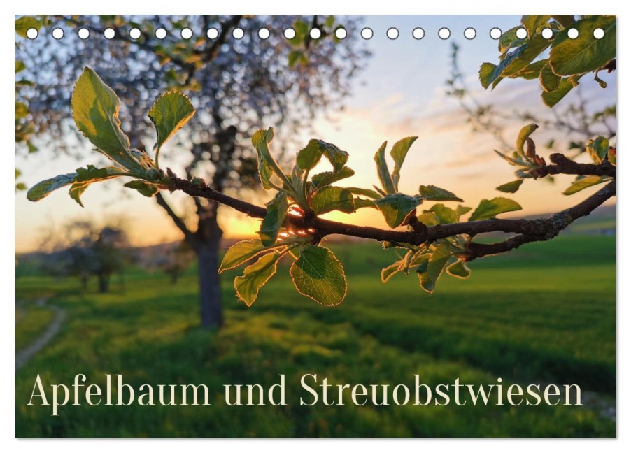 Apfelbaum und Streuobstwiesen (Tischkalender 2025 DIN A5 quer), CALVENDO Monatskalender - Stefan Weis