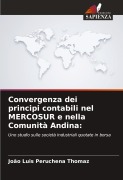 Cover-Bild zum Titel 'Convergenza dei principi contabili nel MERCOSUR e nella Comunità Andina:' von 'João Luis Peruchena Thomaz'