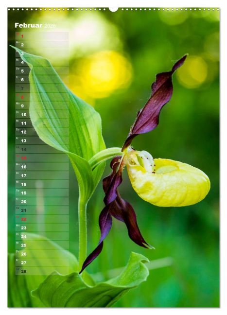 InsideView 7