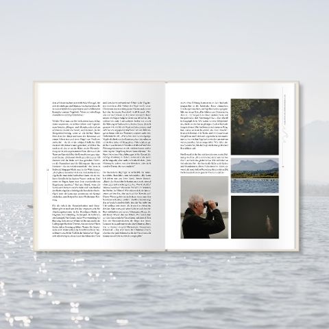 InsideView 7