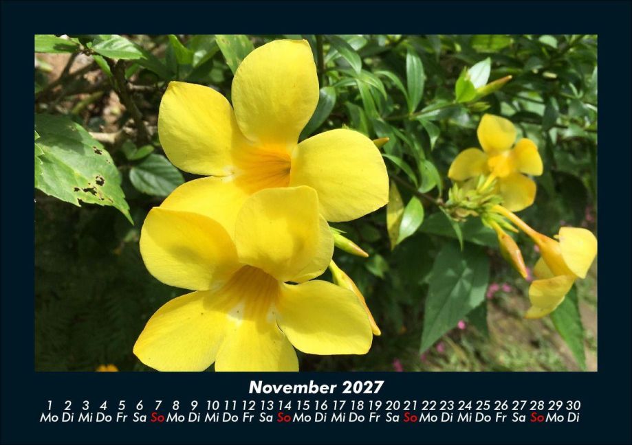 InsideView 3