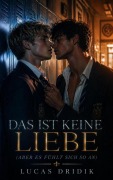 Cover-Bild zum Titel 'Das ist keine Liebe (aber es fühlt sich so an)' von 'Lucas Dridik'