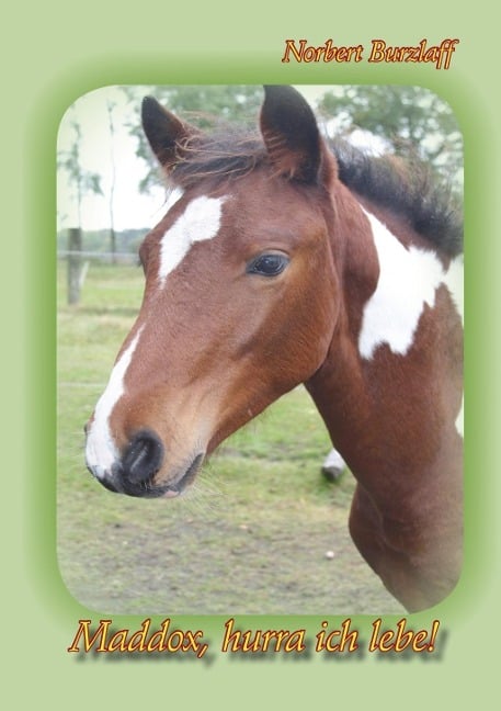 Maddox, hurra ich lebe! - Norbert Burzlaff